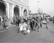 880565 Afbeelding van het drijven van een koppel ganzen door enkele Drentse ganzenhoedsters door de Wittevrouwenstraat ...